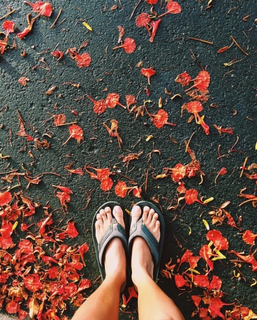 ❤️ #fromwhereistand #ihavethisthingwithfloors #naturelovers #theartysts #socality #folksouls #earthf