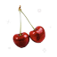 lorigifs