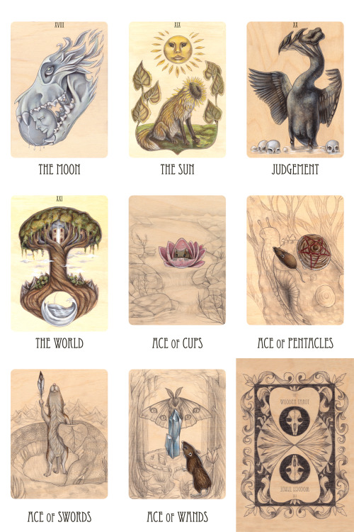 kellysue:ihaveagirlgang:skullgarden:The Wooden Tarot is available for pre-order for a short time! Fo