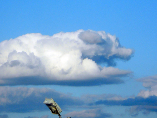 kingcheddarxvii: rhetthammersmith: Dog cloud over Manhattan . August 17, 2014 rare glimpse of Dog He