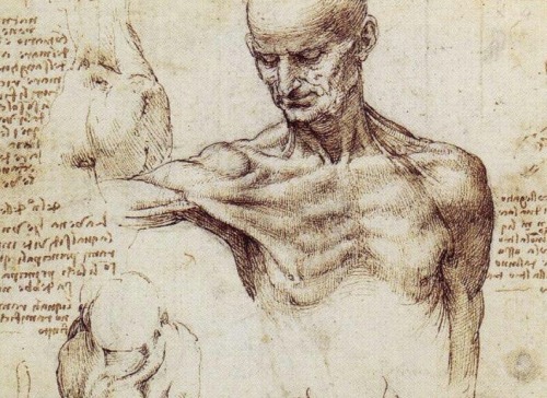 detailedart:Leonardo da Vinci’s drawings and Simon Schama’s Power of Art. Bernini. (Study of analogy