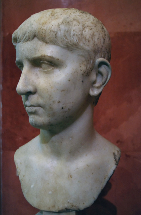 myglyptothek:Portrait of a young man of Julio-Claudian family. I century AD. Marble. State Hermitage