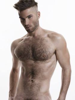 theyalmostkilledme: Sometimes, the hairier the sexier. Love those pointy nipples.   Andrew Skelton by Rick Day 