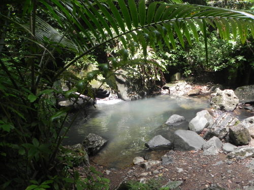 littlebearheart:  Hidden lagoon. A piece of paradise. Pt. I