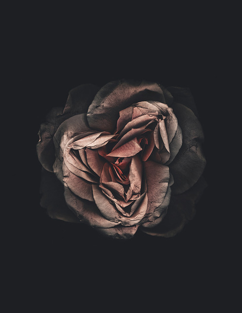 victoriousvocabulary:  SOUVENIR [noun] 1. a usually small and relatively inexpensive