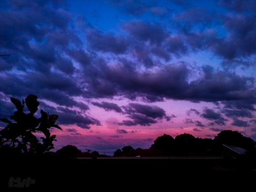 etherealphoto:Bruised (Australia) By Me