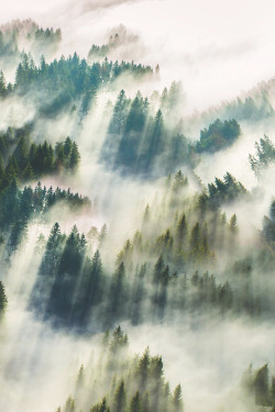 wnderlst:  Morning Light | All_around_the_world                  