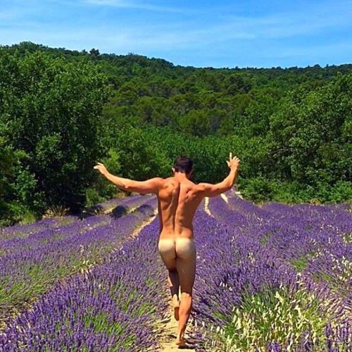 http://richylon.tumblr.com/post/142394067921