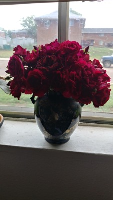 A dozen or so roses from my garden in my favorite Japanese vase