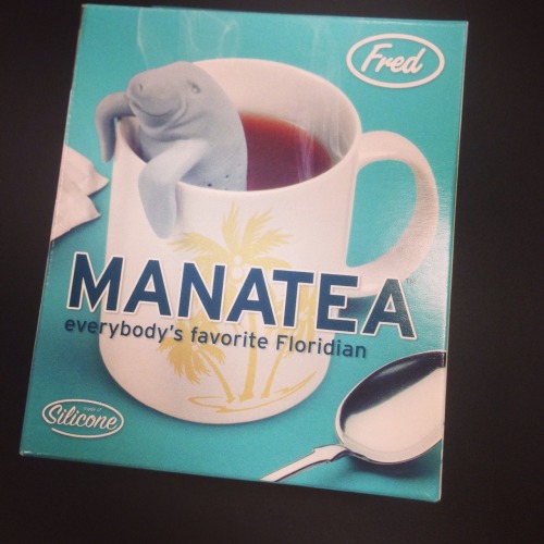 The Manatea is rather charming - and also useful, here seen brewing my morning Oolong at the office.