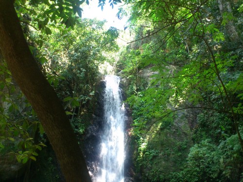 martinhilist:  awesome day with my girl. Jungle, in peace and relaxed