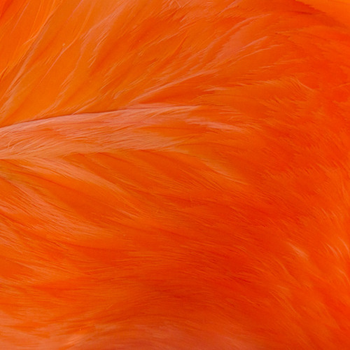 nyctaeus:  Yusuke Sakai, ‘Skin’