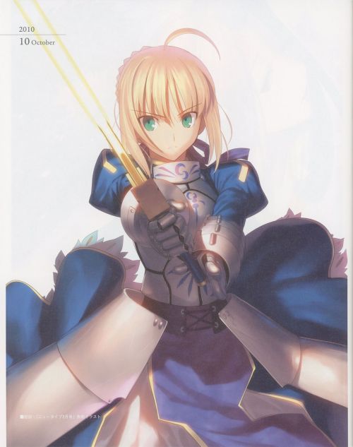 [TYPE-MOON] Fate/Art Chronicle Fate 10th Anniversary Art Book (Fate/stay night, Fate/hollow ataraxia)
