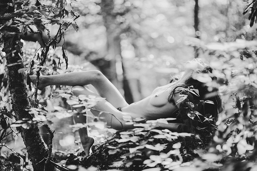 corwinprescott:    “Into the Wild”Appalachia 2016Corwin Prescott - Anastasia