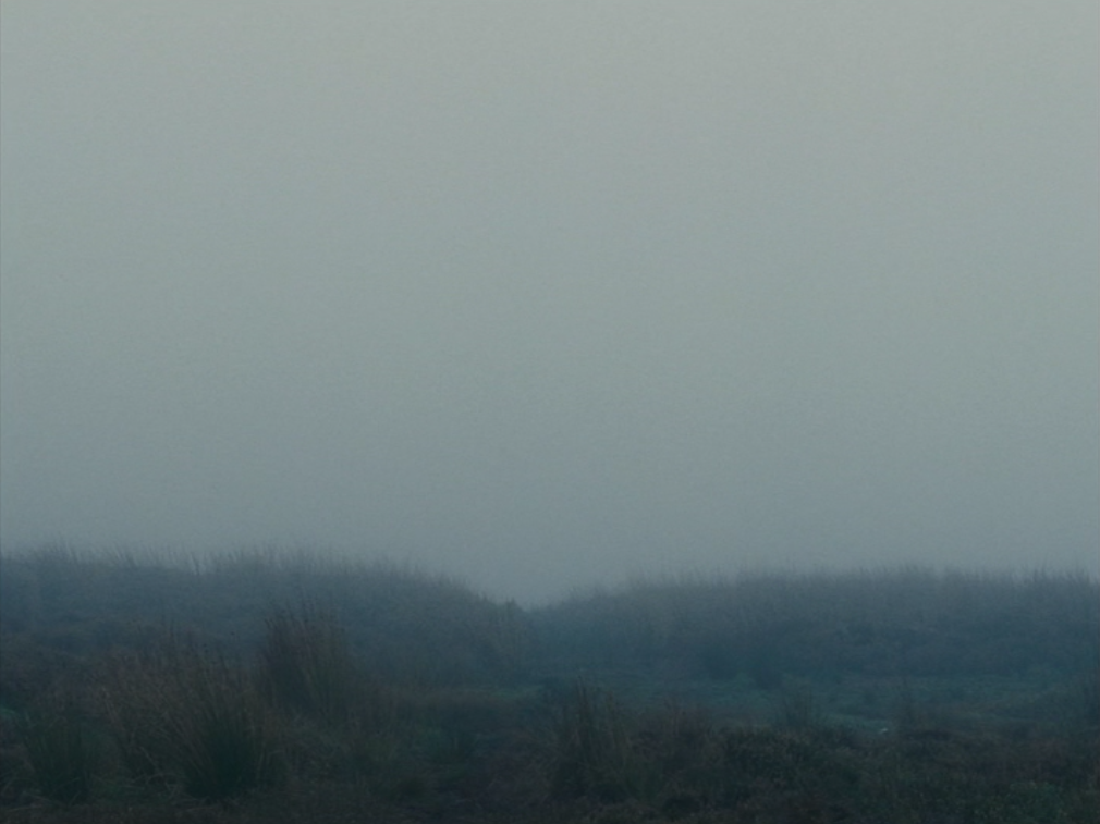 dreamyfilms:  wuthering heights (2011, dir. andrea arnold)