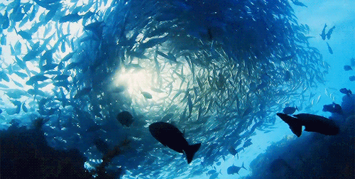 alfrescotree:Take a deep breath…