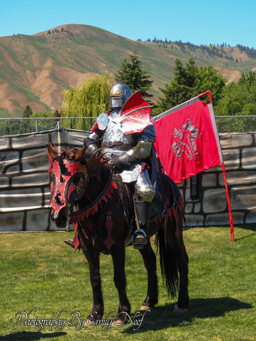 The Red Knight.Fun anecdote: My friend was wearing a red and black dress and when she approached the