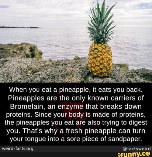 Ride The Pineapple Express.