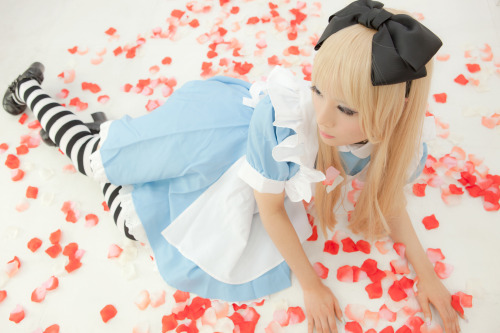 Alice in Wonderland - Alice Liddell (usakichi) 1-1