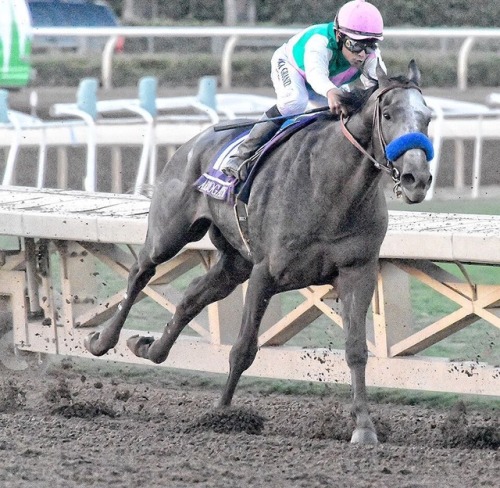 ARROGATE