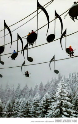 srsfunny:  Musical Chairs in France…http://srsfunny.tumblr.com/