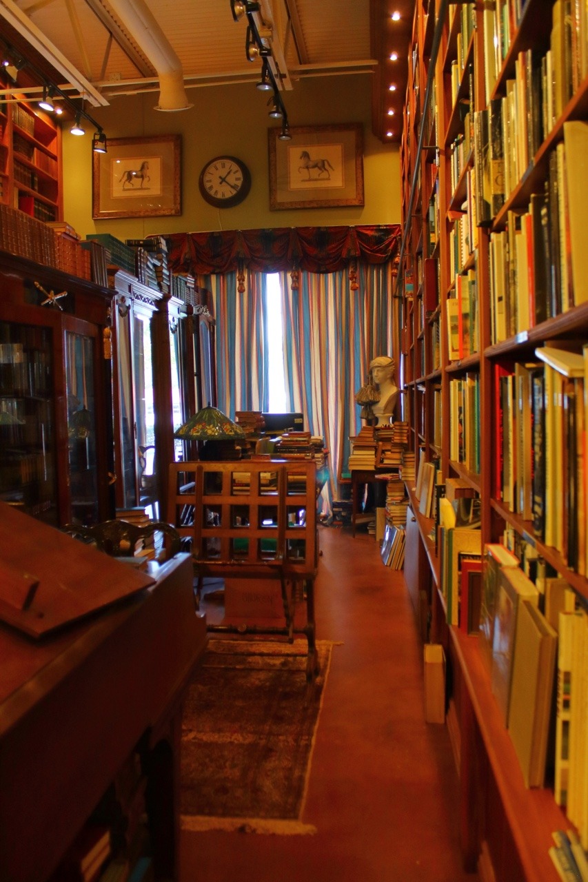 Forever Lost in Literature