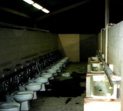 Uninhibitedpervs:  Stalls With No Walls.. In My Fraternity And In The Army, Toilets