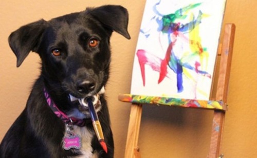 x0livelaughlove0x: This dog is more artistically talented than I am…