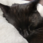 sleepdeprivedtoast