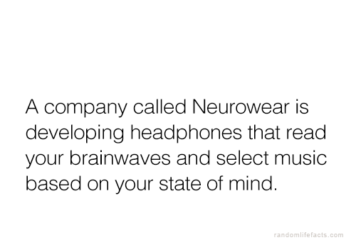 Holy fuck I&rsquo;d spend a fortune x.