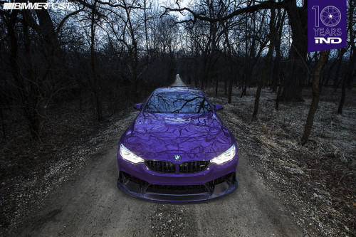 thebimmerblog:  IND’s own 10th Anniversary Portfolio M4 - Photos by iND Developments?(unknown correction appreciated) -  http://ind-distribution.com/blog/?p=2919 This thing is amazing and I love it! 