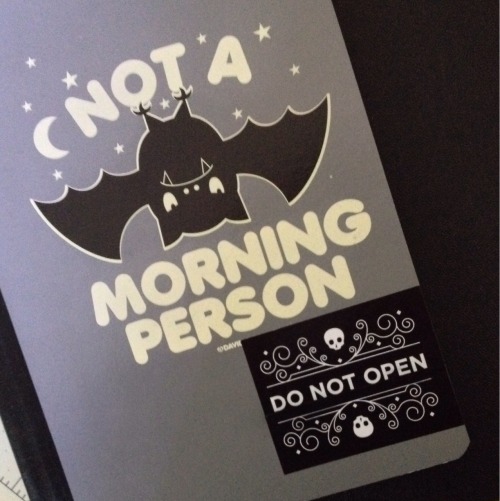 huesitititos:Decorating my notebook with evilsupplyco slightly altered sticker.I did place it too hi