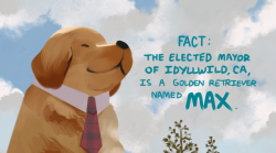 everydaylouie:the mayor of idyllwild