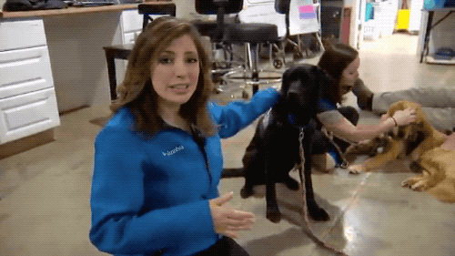 welele:Los perros son tan humanos que les pasan momentos incómodos de humanos