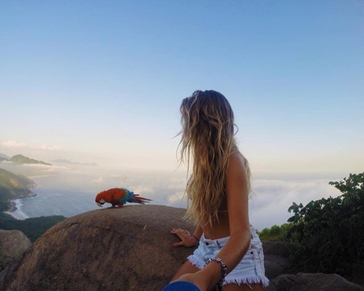meigalizar:  🌴 MEIGALIZAR 🌴