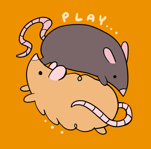 mushroomstairs:daily rat activities!!!(stickers availble for preorder here! https://etsy.com/shop/mu