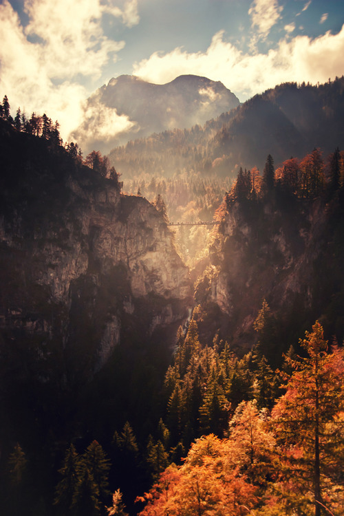 brutalgeneration:  Tumblr on We Heart It - http://weheartit.com/entry/61065319/ 