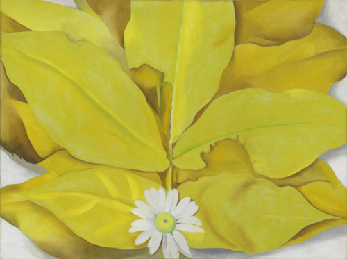 Georgia O’KeeffeYellow Hickory Leaves with Daisy, 1928 Oil on canvas