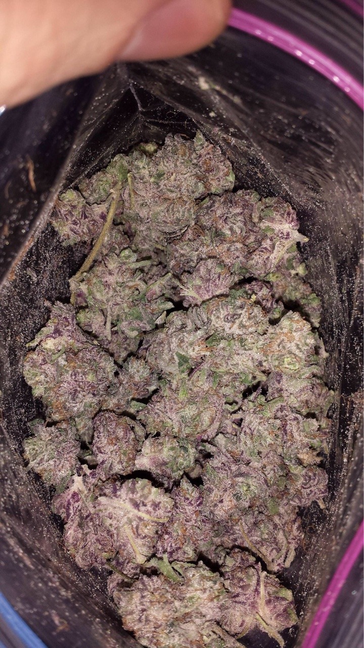 Inhale the Frost
