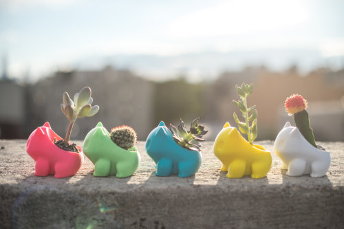 insanelygaming:  Bulbasaur Planter Created by PrintAworld via   moon83     Those cause cancer you dumb b*tch.