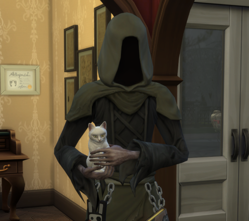 blondebrainpower:  Sims Grim Reaper and Cat