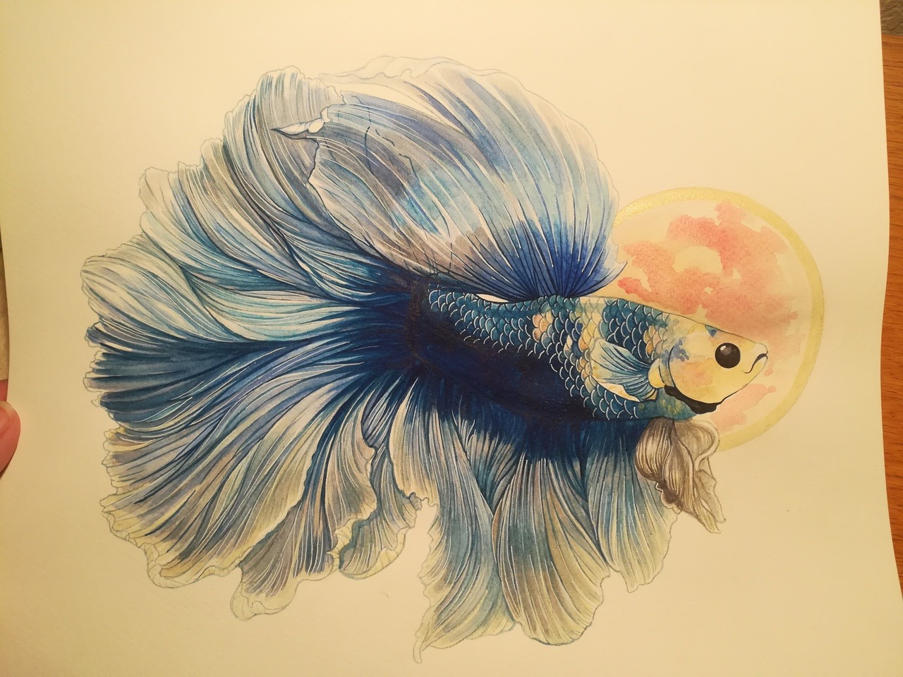 chewybitart:for Elias Buster Fox Thomas Swim in piece pretty little guy. Thank you