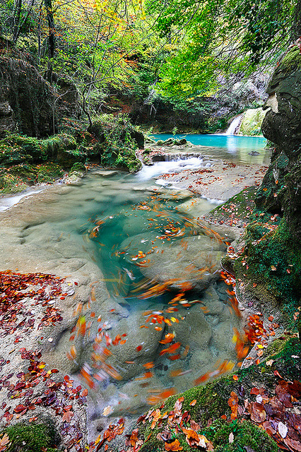Beautiful Urederra River in Basque Country, Spain (by Silvia and Juan).