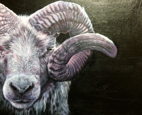 sheepgist / Oil paintingsize / F3 canvas