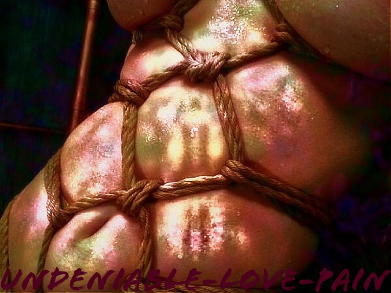 Undeniable Love-Pain