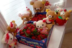 rilakkumalifestyle:  Rilakkuma attends a strawberry festival. 