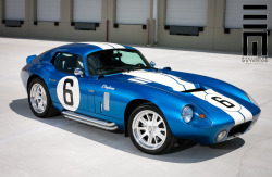 automotivated:  Superformance Shelby Daytona