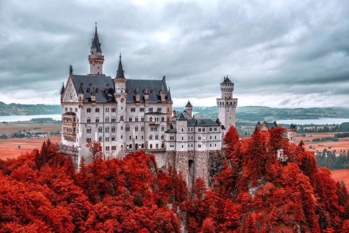 sixpenceee:Pictures of the Neuschwanstein Castle located in Germany. 