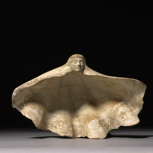 iehudit:Phoenician cosmetics vessel, c.700-650 BCE, carved tridacna shell