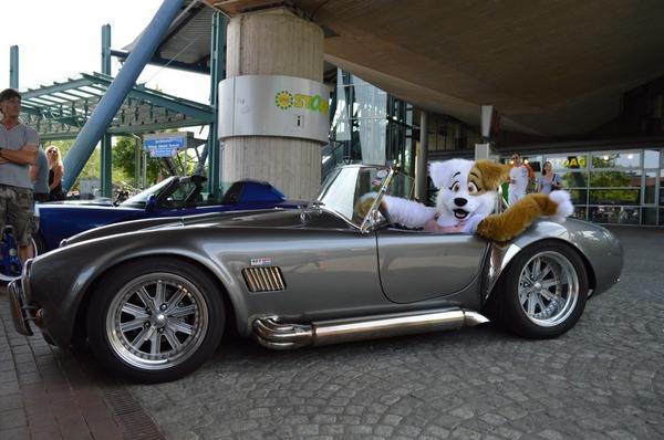 furrypost-generator:  gudroo: not the first time ive seen a dog inside a cobra 👄